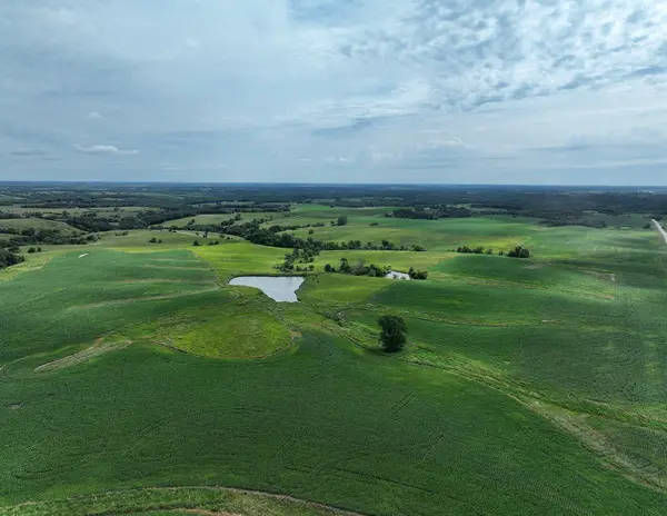 Glover Street, Osceola, IA 50213
