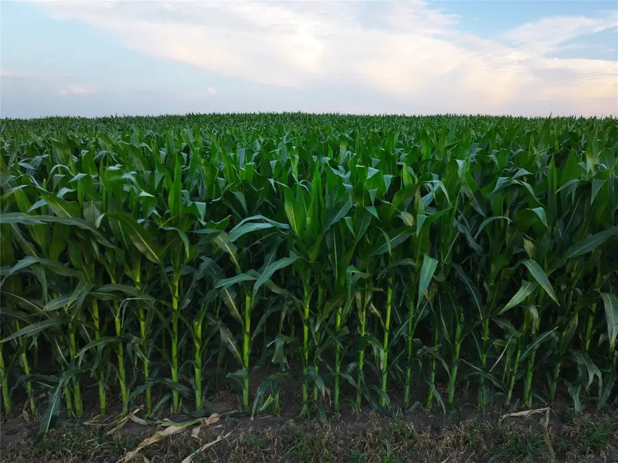 160th Road, Yale, IA 50277 - #3