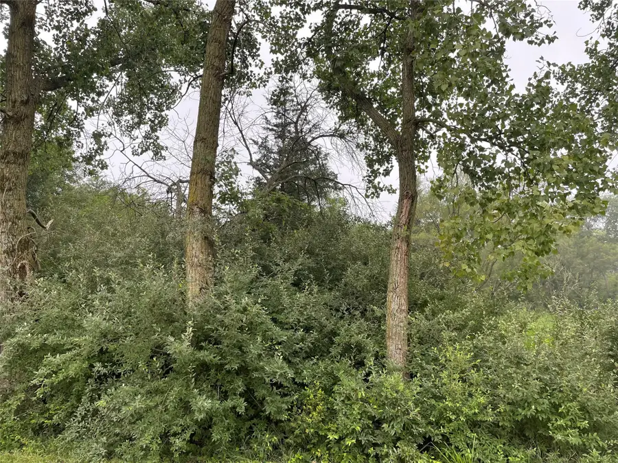 4213 Bluegrass Drive, Panora, IA 50216 - #2
