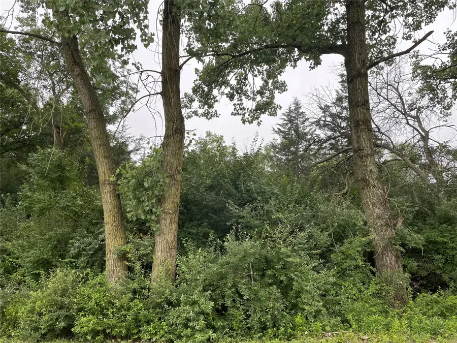 4213 Bluegrass Drive, Panora, IA 50216 - #3