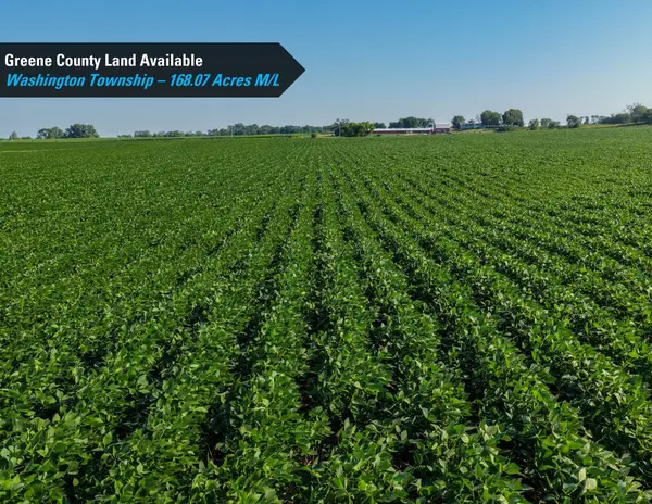 Terrace Avenue, Rippey, IA 50235