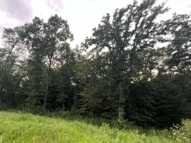 TBD Shagbark Circle, Van Meter, IA 50261 - #1