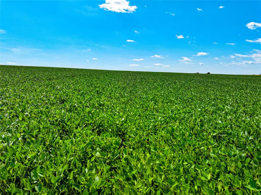 P Avenue, Harlan, IA 50655 - #3
