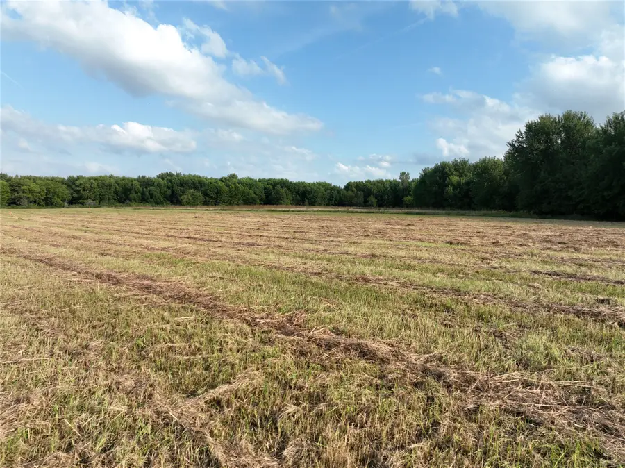 Arlington Street, Aredale, IA 50605 - #2