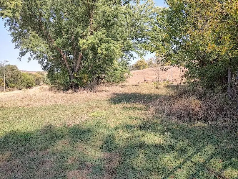 #2
