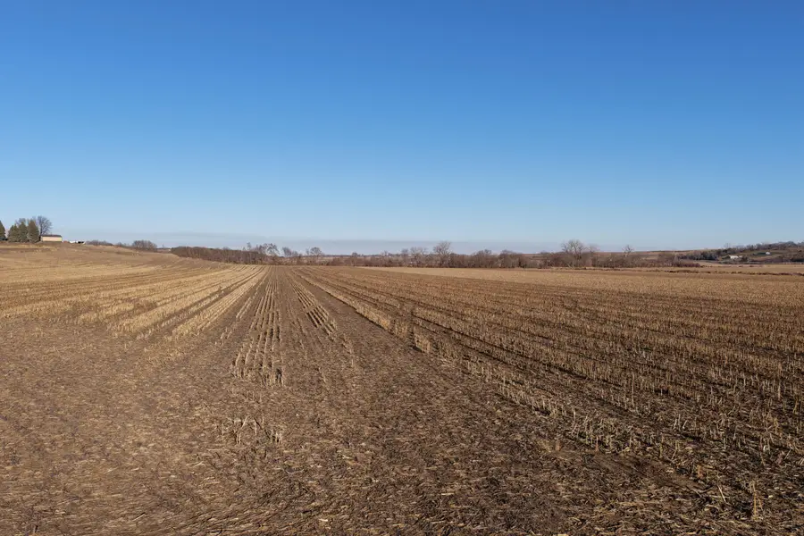 75.05 AC Coldwater Avenue, Honey Creek, IA 51542 - Image #3