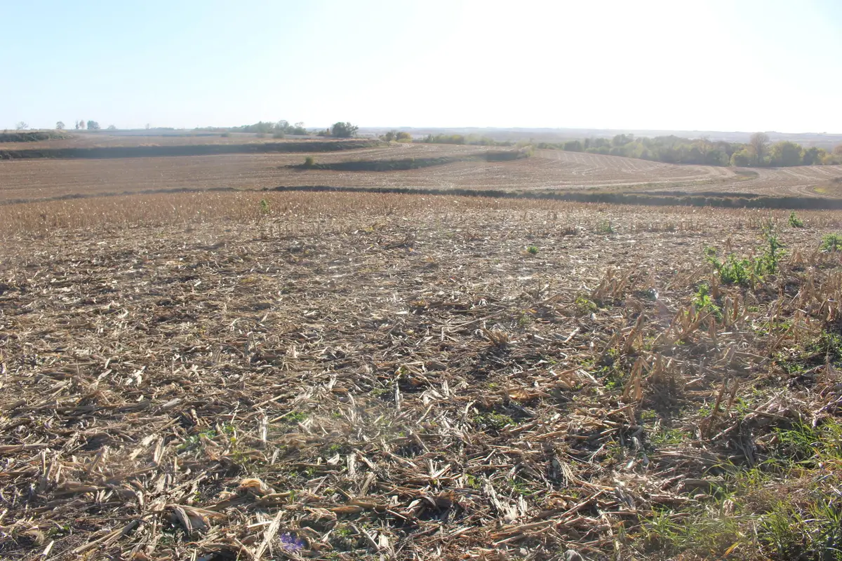 613 Clark Road, Oakland, IA 51560 - Image #1