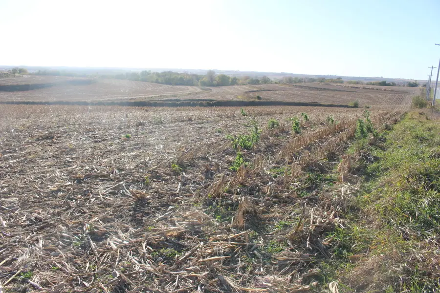 613 Clark Road, Oakland, IA 51560 - Image #2