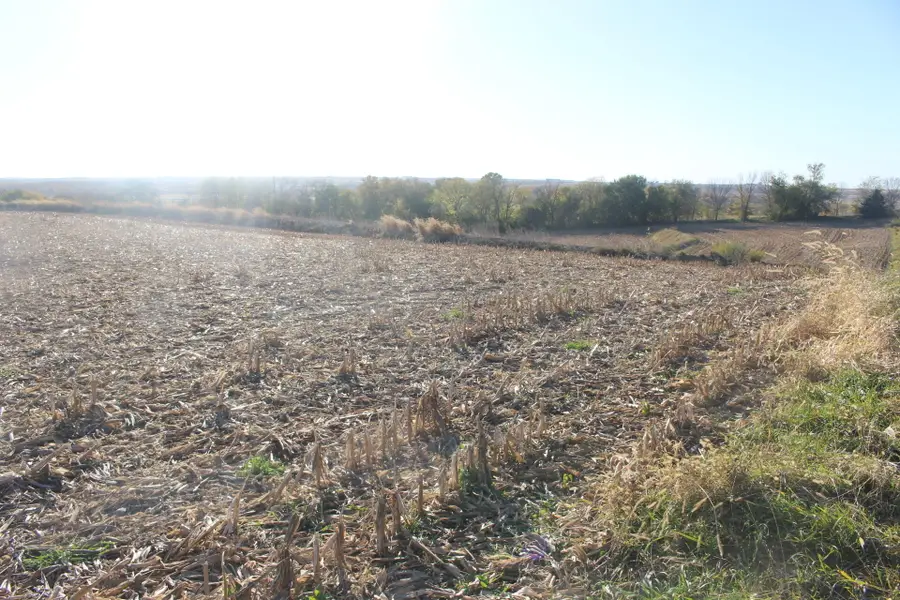 613 Clark Road, Oakland, IA 51560 - Image #3