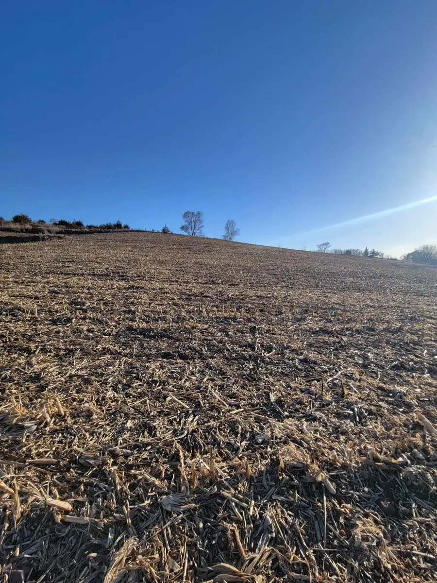 0 Ia-183, Mondamin, IA 51557 - Image #2