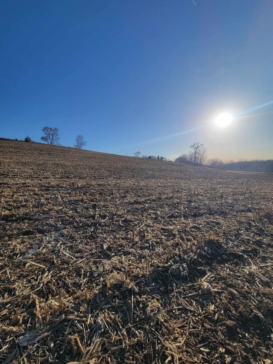 0 Ia-183, Mondamin, IA 51557 - Image #3