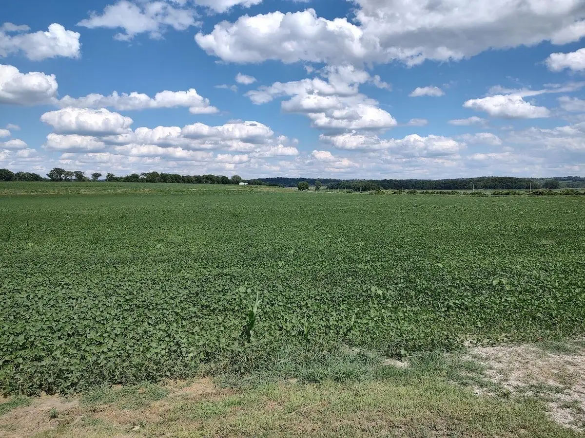 1775 138th Trail, Little Sioux, IA 51545 - #1