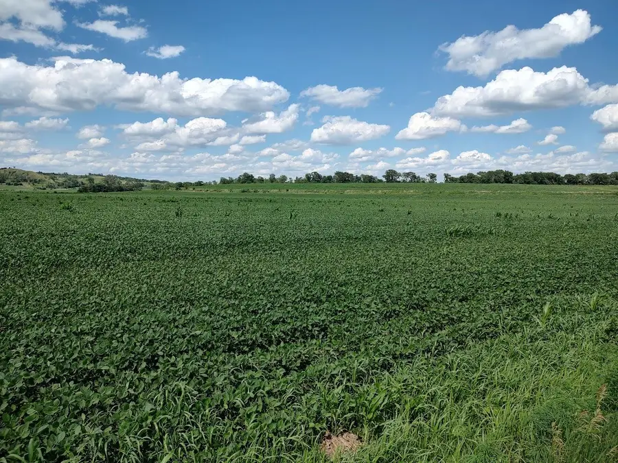1775 138th Trail, Little Sioux, IA 51545 - #2