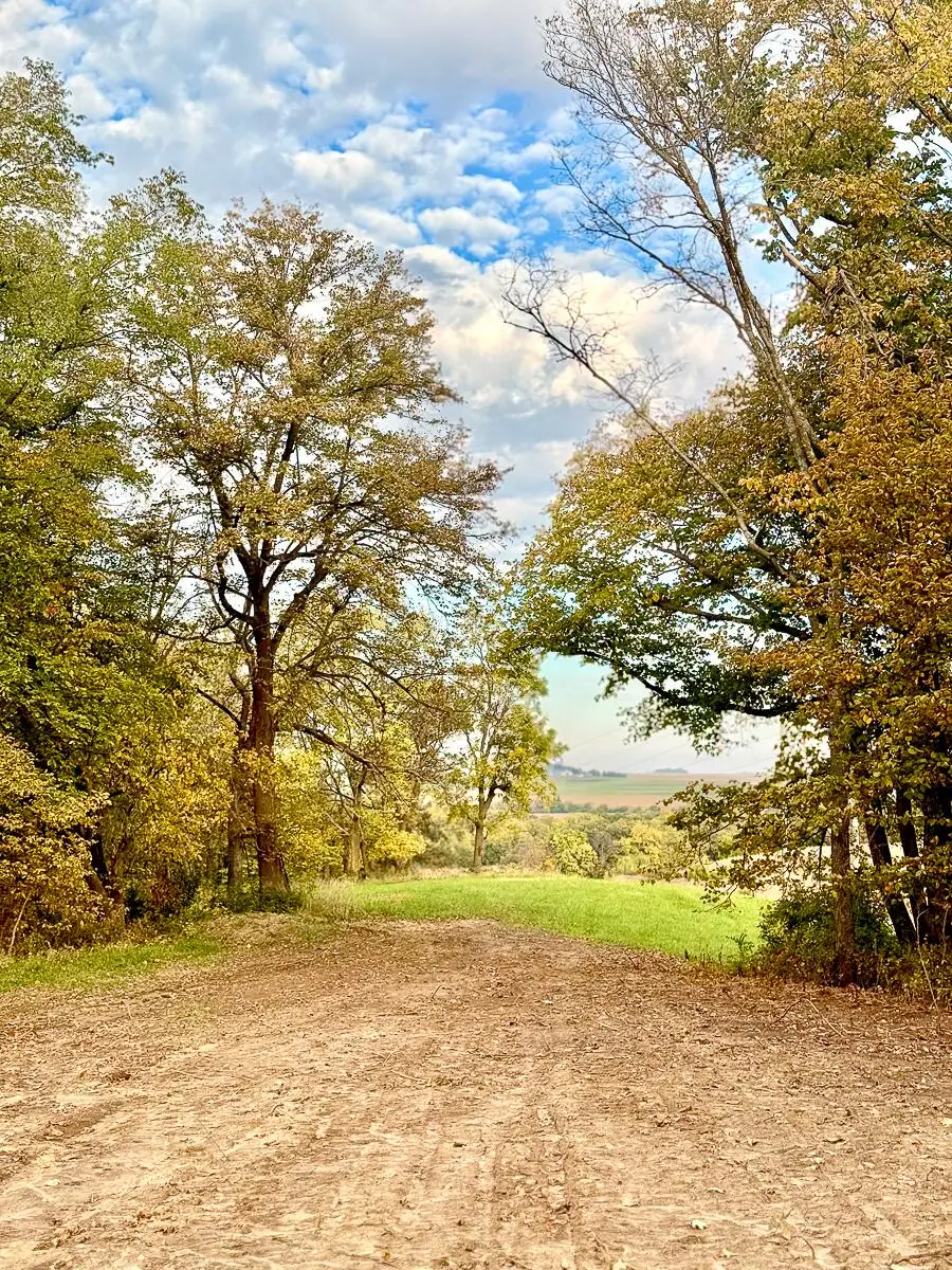 40 ACRES 305th Street, Malvern, IA 51551 - #1