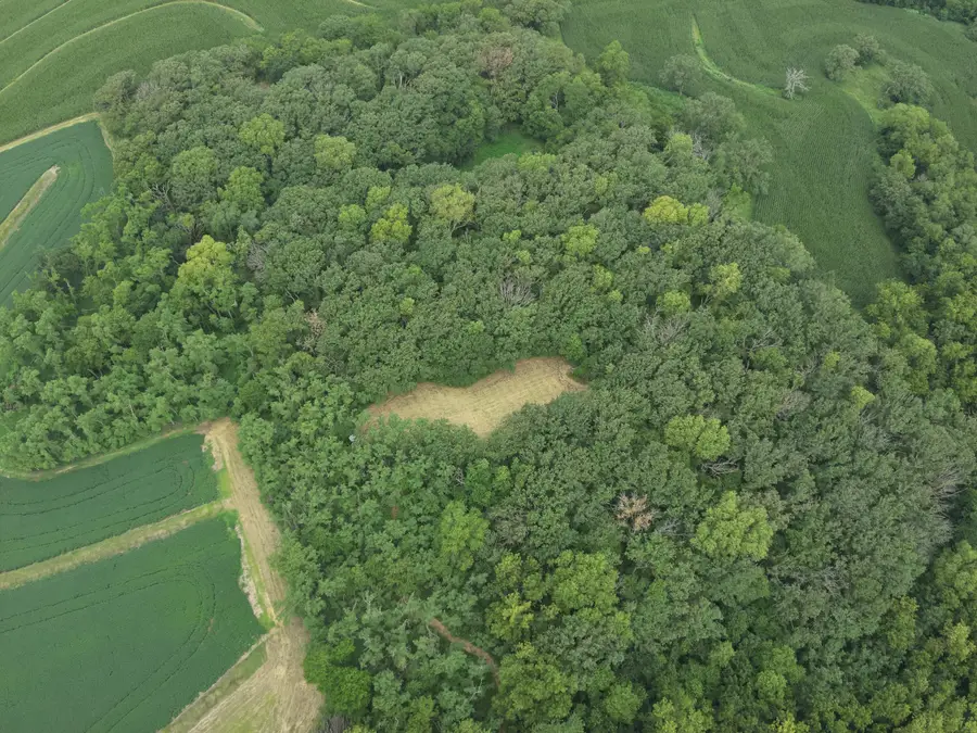 16.88 ACRE A Avenue, Essex, IA 51638 - #2