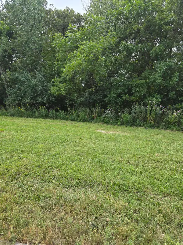LT 89 N Millard Street, COUNCIL BLUFFS, IA 51503
