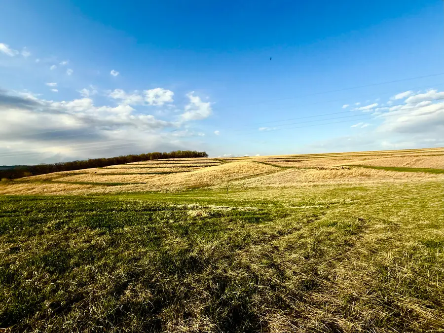 40 ACRES 305th Street, Malvern, IA 51551 - #2