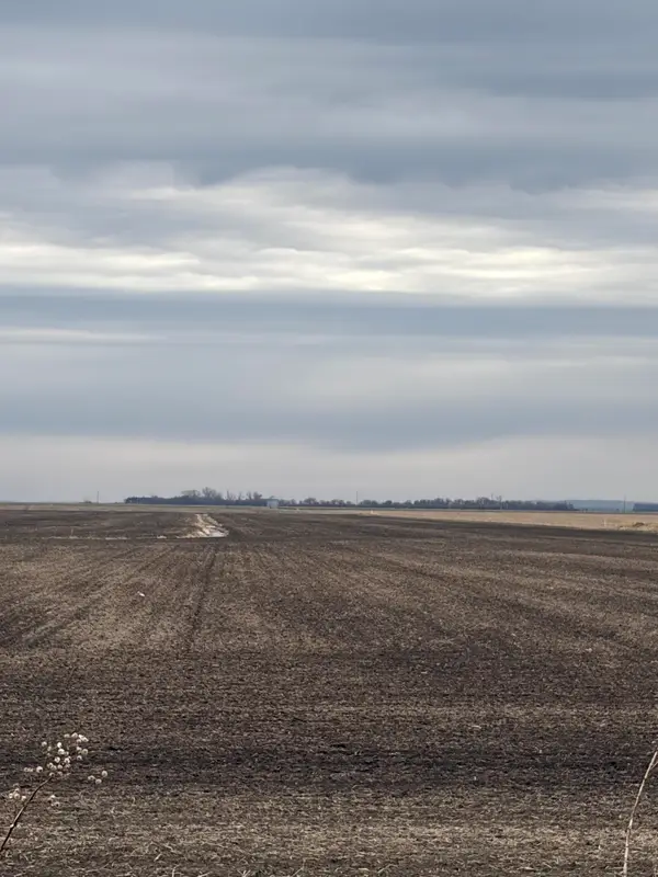 ? 310th Street, BLENCOE, IA 51523