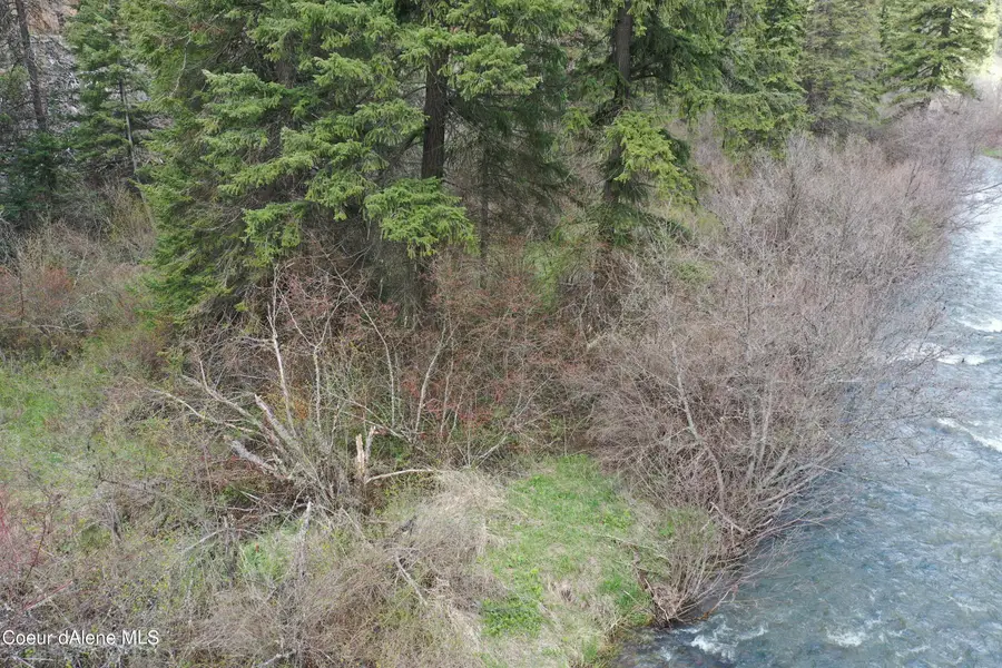 158 Glacier Dr, Saint Maries, ID 83861 - #3