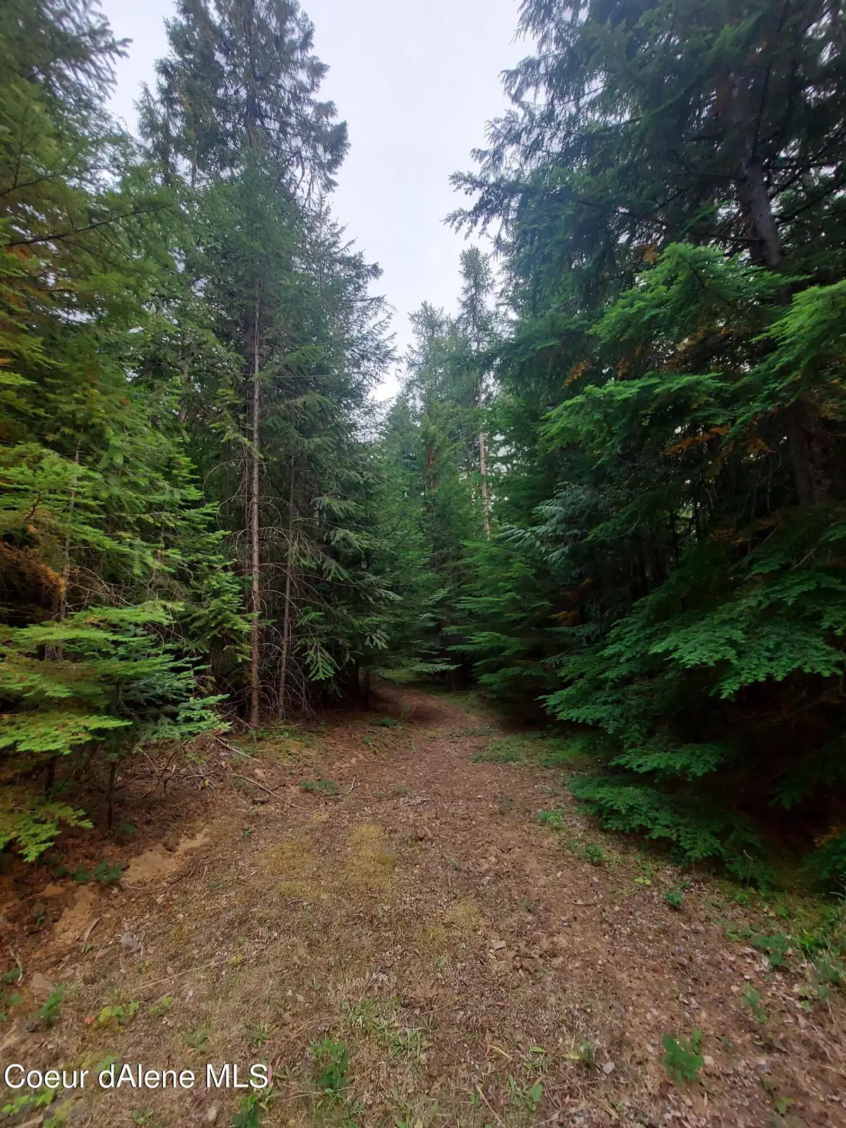 NKA Wandering Wolf Ridge, Clark Fork, ID 83811 - Image #1