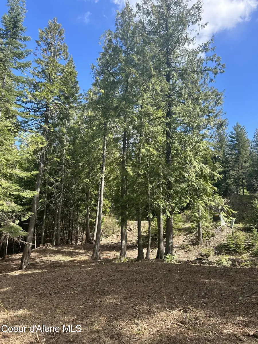 Lot 17 White Cloud Dr, Sandpoint, ID 83864 - #3