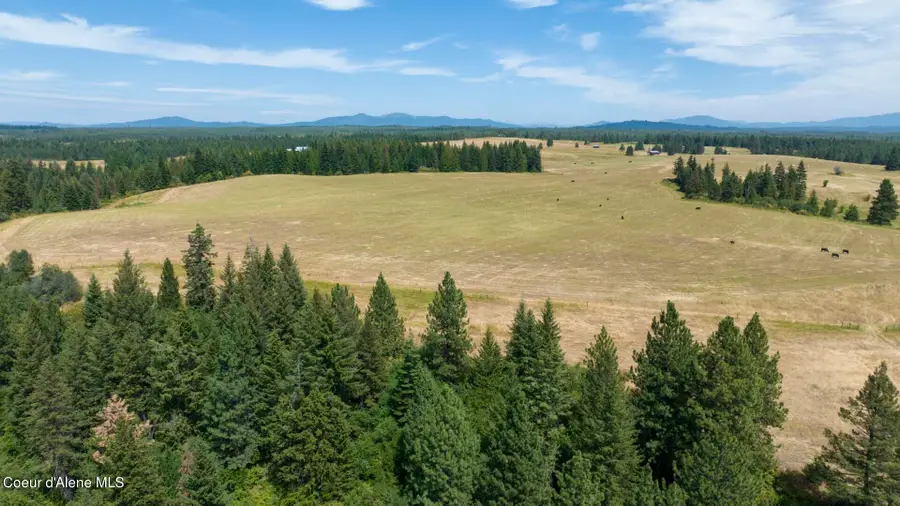 1605 Jasmine Ln, Weippe, ID 83553 - #2