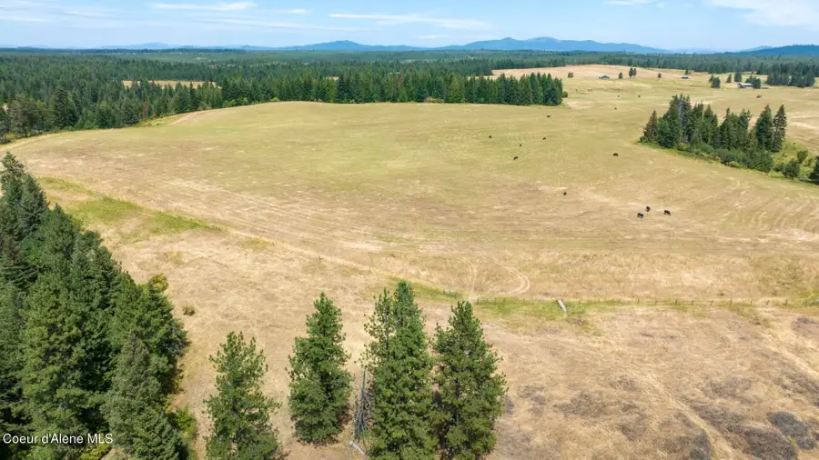 1605 Jasmine Ln, Weippe, ID 83553 - #3