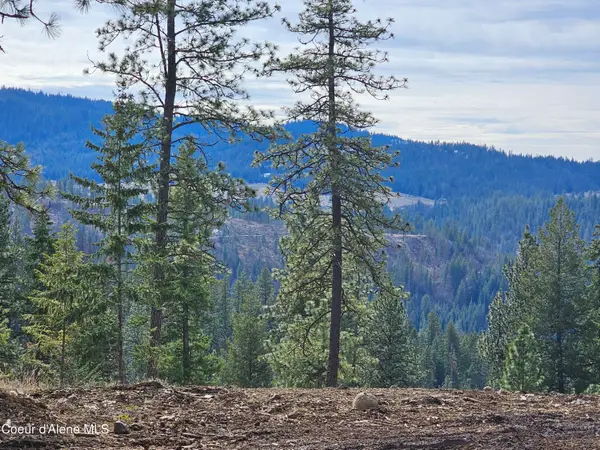 2252 E Badger Rd, Harrison, ID 83833