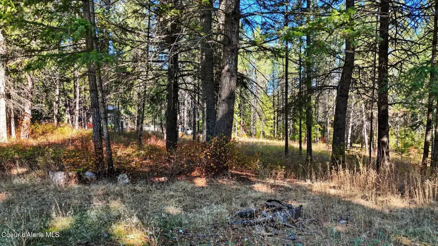 NKA W Barrett Dr Lot 1, Rathdrum, ID 83858 - Image #3