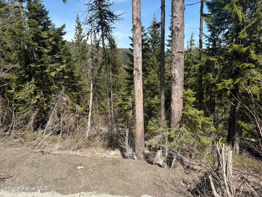 NKA Parallel Run BLK 6 LOT 10, Sandpoint, ID 83864 - #2