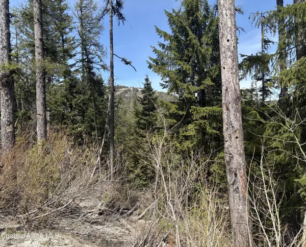 NKA Parallel Run BLK 6 LOT 9A, Sandpoint, ID 83864