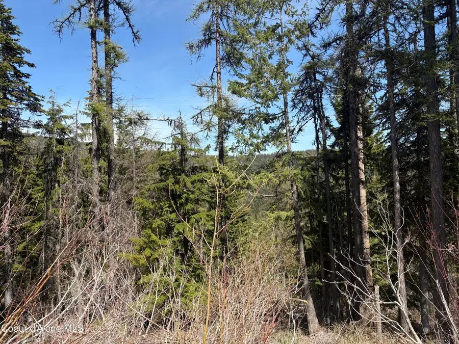 NKA Parallel Run BLK 6 LOT 9A, Sandpoint, ID 83864 - #2
