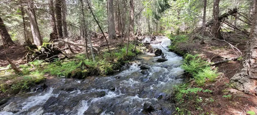 410 Poco Lobo Rd, Yaak, MT 59935 - Image #3