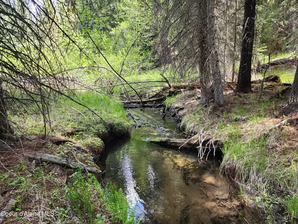 141 Berts Way, Troy (MT), MT 59935