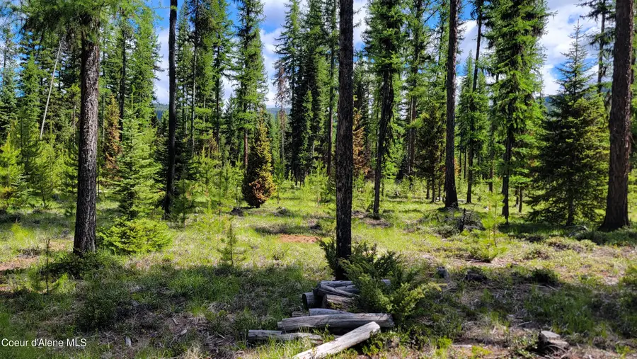 141 Berts Way, Yaak, MT 59935 - Image #2