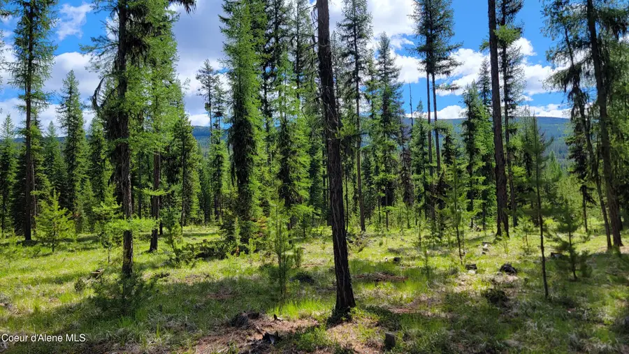 141 Berts Way, Yaak, MT 59935 - Image #3