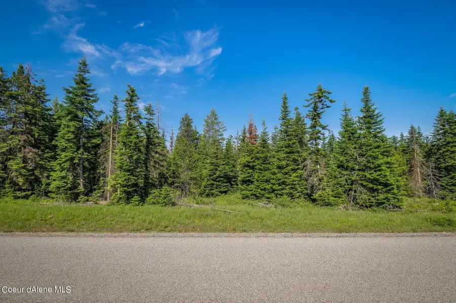 Lot 10 E Riley Loop, Athol, ID 83801 - Image #3