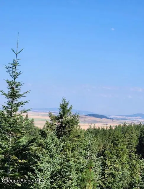 199 Bremerman Lane, Plummer, ID 83851 - Image #2