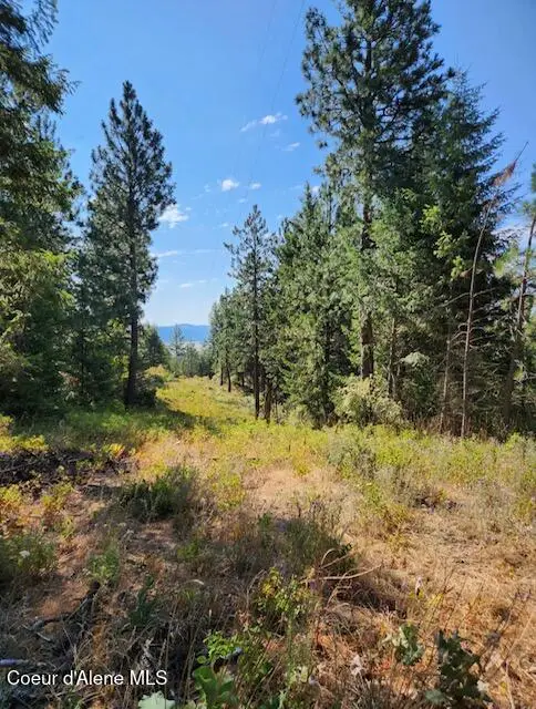 199 Bremerman Lane, Plummer, ID 83851 - Image #3