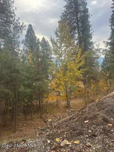 NNA (.393 ac.) 2nd St, Priest River, ID 83856 - Image #2