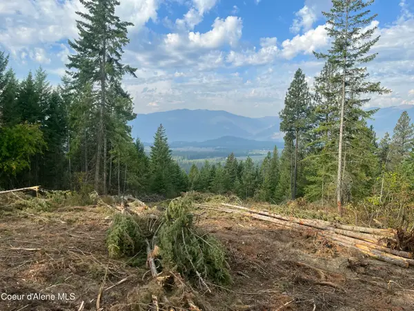 NKA Birdpoint Rd, Bonners Ferry, ID 83805