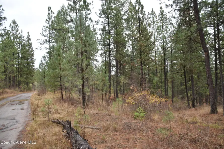 NKA Shady Ln, Desmet, ID 83824 - Image #2