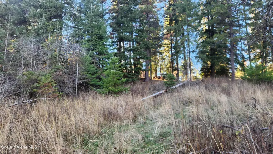 1217 S Ponderosa Drive, Coeur Dalene, ID 83814 - Image #2