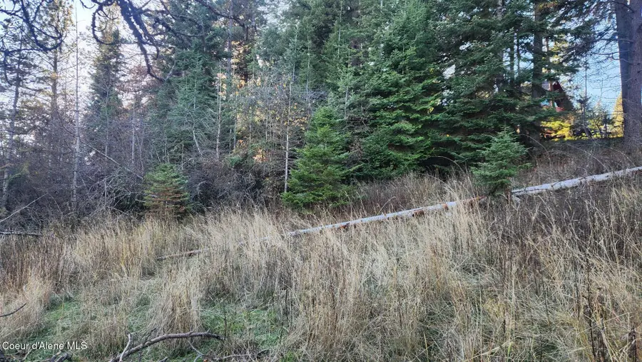 1217 S Ponderosa Drive, Coeur Dalene, ID 83814 - Image #3