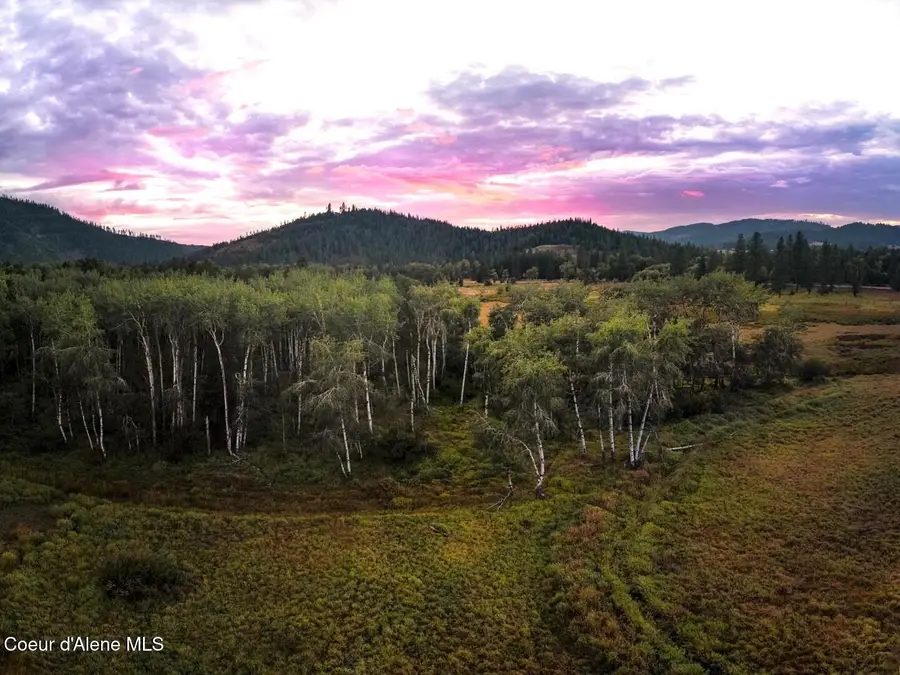 NNA E Dudley Rd, Cataldo, ID 83810 - Image #3