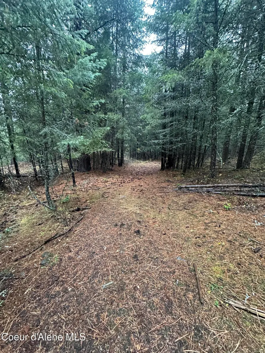 13150 E BUNCO RD, Athol, ID 83801 - Image #3