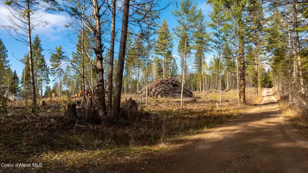 773 Cougar Loop, Clark Fork, ID 83811