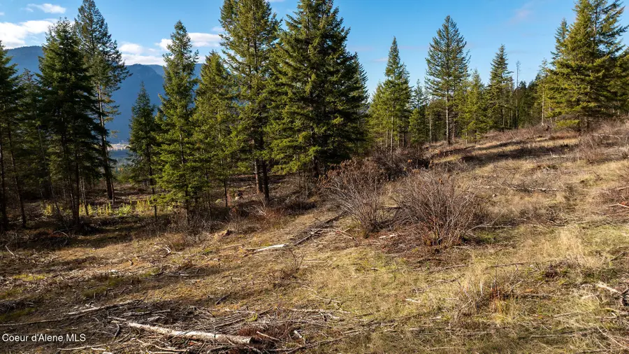 773 Cougar Loop, Clark Fork, ID 83811 - Image #3