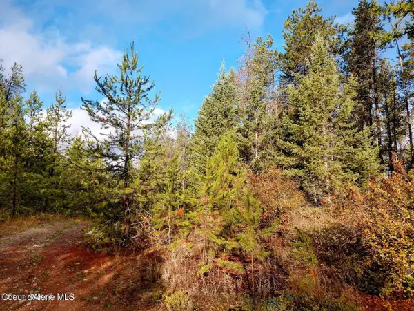 L4B130 W Vermont St, Post Falls, ID 83854