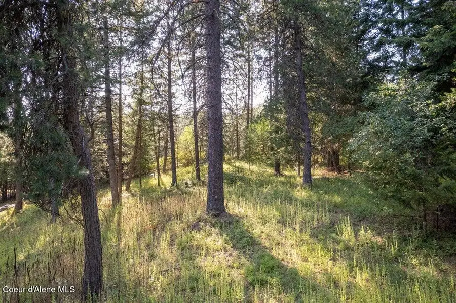 NKA S Allen Rd Lot 18, Coeur Dalene, ID 83814 - Image #2